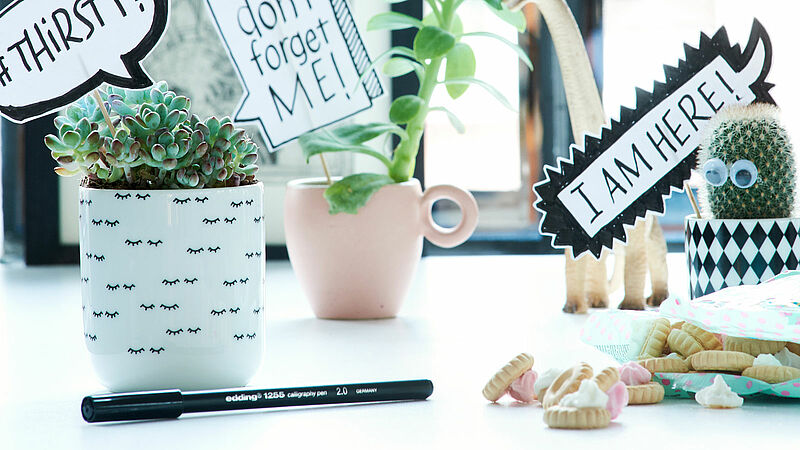 Calligraphy pen